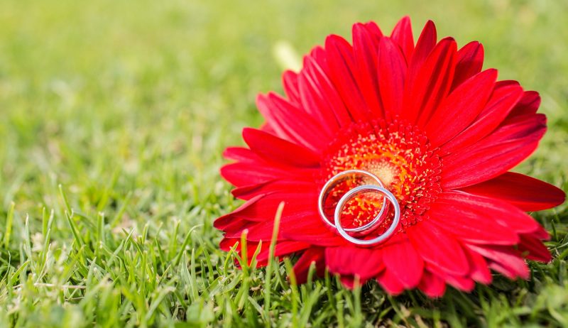 Anillo de compromiso Yelis y Diego