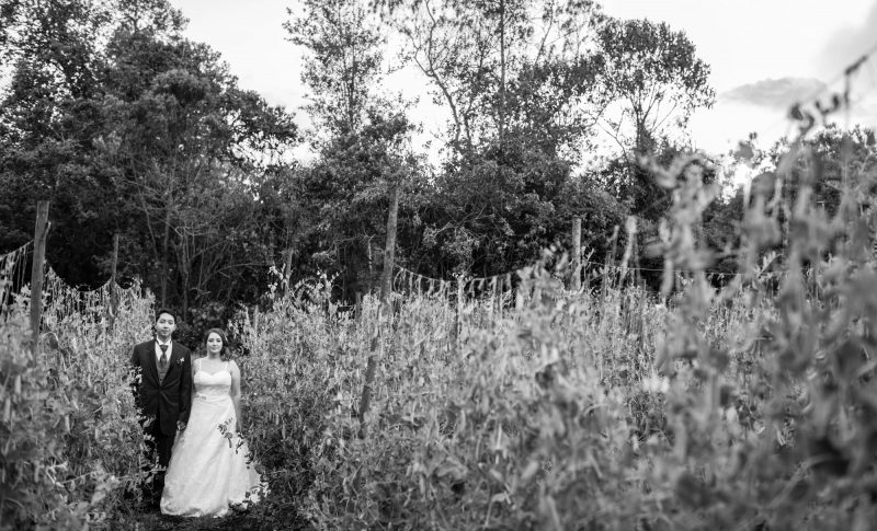 Fotógrafos para bodas El Rosal