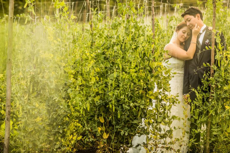 Fotógrafos para matrimonios hacienda Kalá