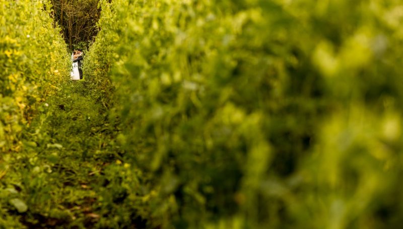 Matrimonio de Fabián y Catalina